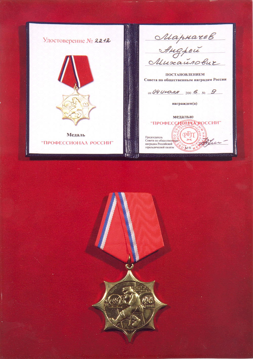 медаль Профессионал России