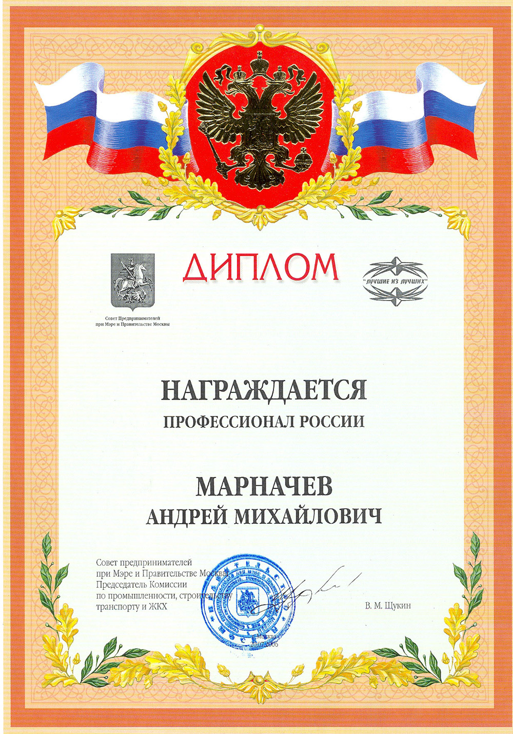 диплом Профессионал России